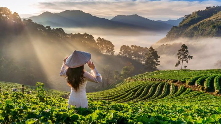 Video ngắn: Cánh đồng lời kể, nông sản sạch