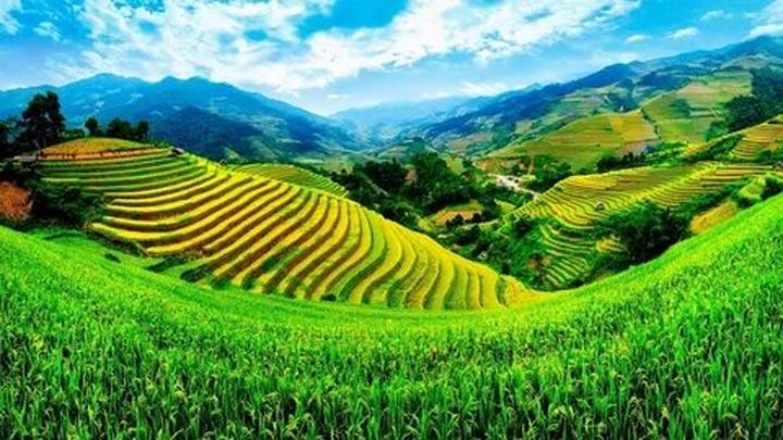 Hotspot Matrix: Biến Nóng nhất MXH Weibo: Angela... thành cơ hội marketing đột phá