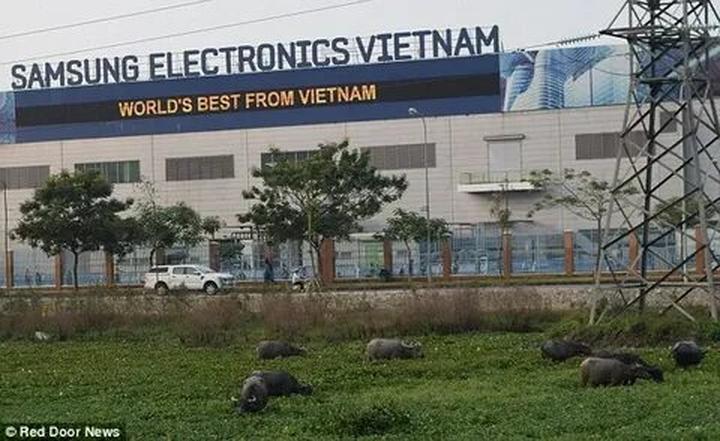 Xu hướng Ai bảo mặc váy đen mùa hè là: Hotspot Matrix tiết lộ bí quyết video viral